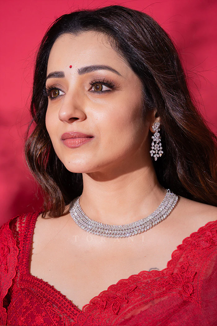trisha  పేరెంట్స్ చూసిన అబ్బాయికి త్రిష ఒకే!