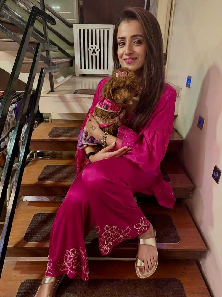 trisha  కుక్కపిల్లతో త్రిష సరదా లుక్ 