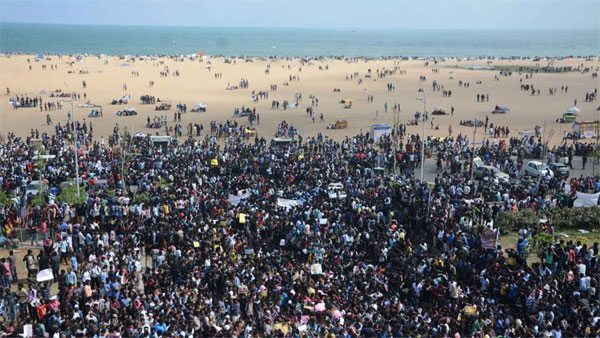 tuni,chennai,jallikattu protest,youth,merina beach  నాడు తుని, నేడు చెన్నై...!!