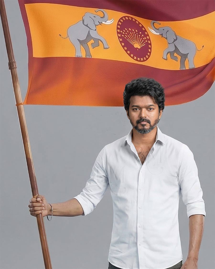 vijay  అంత ఈజీ కాదు విజయ్..