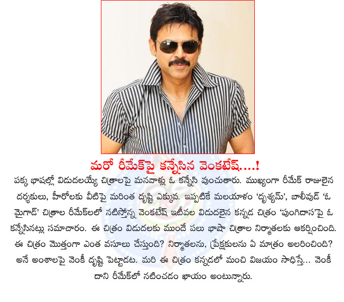 venkatesh,another remake film,drishyam movie remake,pungidasa movie remake,venkatesh interested to act in pungidasa remake,oh my god bollywood remake,venkatesh movies,victory  venkatesh, another remake film, drishyam movie remake, pungidasa movie remake, venkatesh interested to act in pungidasa remake, oh my god bollywood remake, venkatesh movies, victory