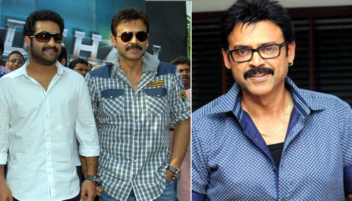 venkatesh daggubati,jr ntr,multi starrer movie,venky-ntr movie  ఎన్టీఆర్‌- వెంకీ మల్టీస్టారర్ మూవీ.. ఎప్పుడో!?