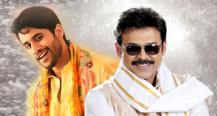 venkatesh,naga chaitanya,multistarrer,movie story,leaked  ‘వెంకీ మామ’ కథ అప్పుడే వచ్చేసింది..!