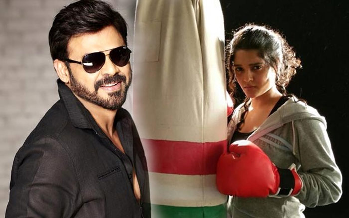 venkatesh,ritika singh,sultan remake,salman khan movie,venkatesh and ritika singh,guru  బాక్సింగ్ బ్యూటీతో కుస్తీ వీరుడు!