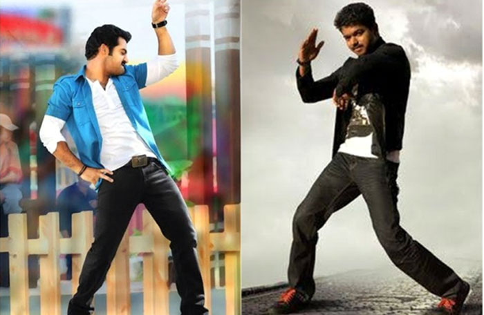 vijay,junior ntr,best dancer,crazy debate,twitter,fans  ఎన్టీఆర్ ఫ్యాన్స్ వర్సెస్ విజయ్ ఫ్యాన్స్.. అసలేమైంది!