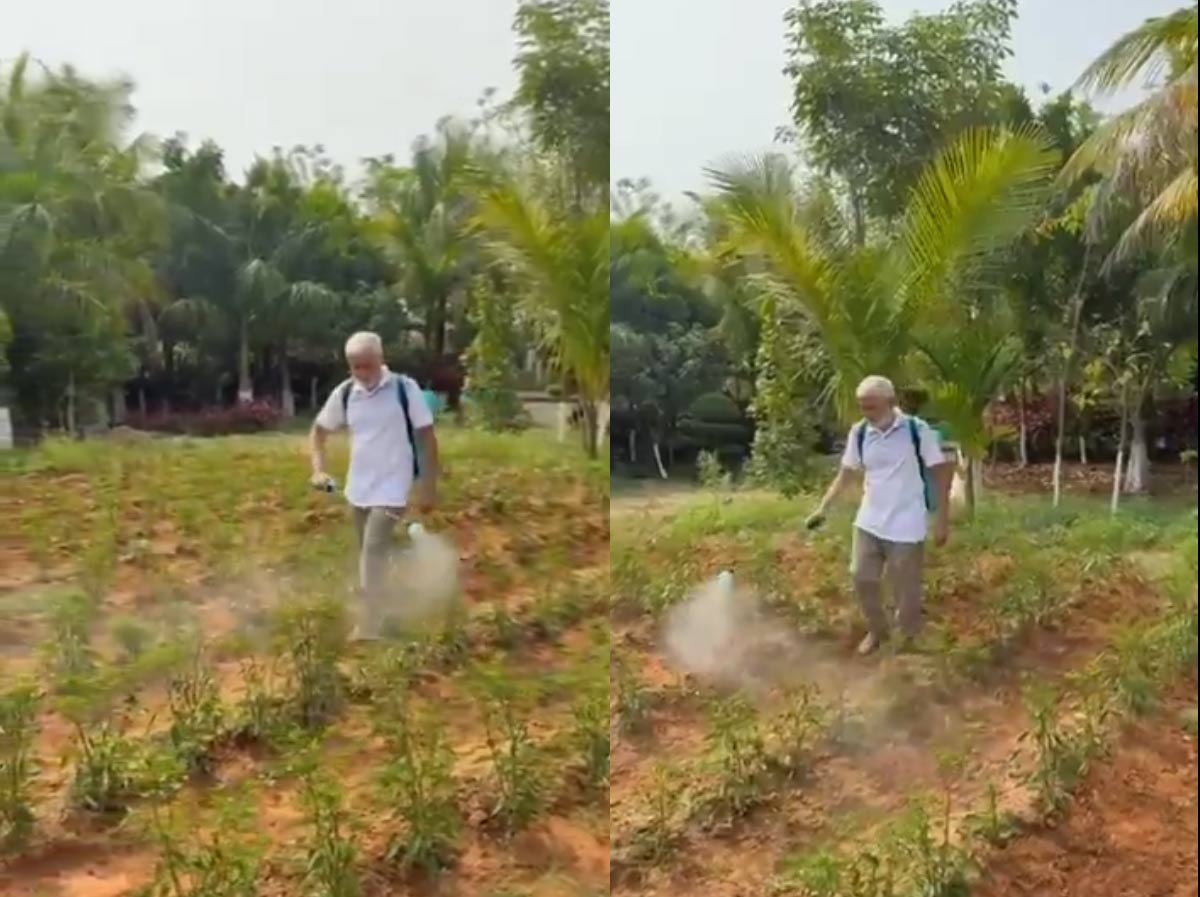 vijayasai reddy  వ్యవసాయం చేసుకుంటున్న విజయసాయి రెడ్డి 