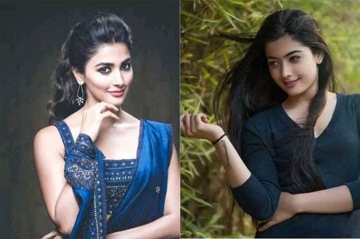 pooja hegde,rashmika mandanna,sankranthi,movies,ala vaikuntapuramlo,sarileru neekevvaru  రష్మిక, పూజాలలో ఎవరిది పై చేయి?