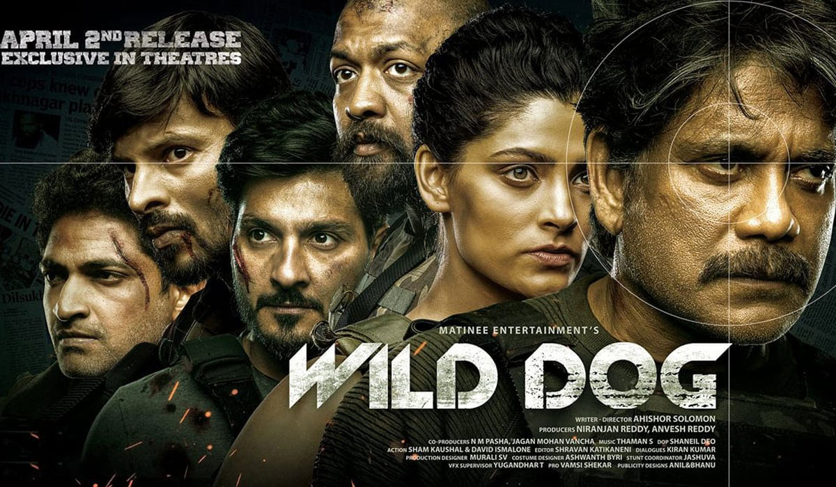 wild dog telugu movie,wild dog telugu movie review,wild dog movie review,nagarjuna wild dog review,nagarjuna,dia mirza,ali reza,saiyami kher,wild dog 1st day collections,shers  వైల్డ్ డాగ్ ఫస్ట్ డే కలెక్షన్స్ 