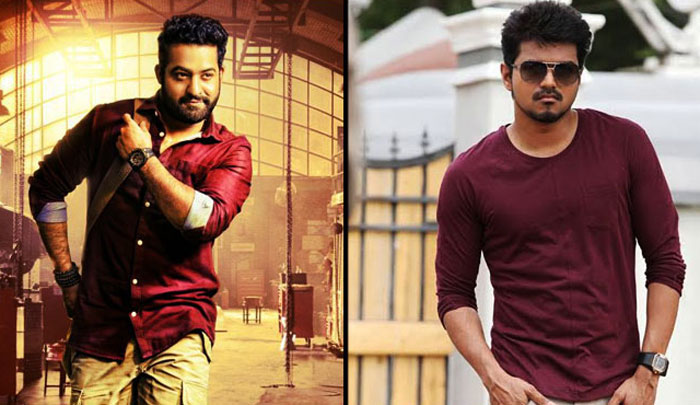 jr ntr,tamil star hero vijay,fans,war,dance,jr ntr fans,vijay fans  ఎన్టీఆర్ ఫ్యాన్స్ వర్సెస్ తమిళ్ హీరో విజయ్ ఫ్యాన్స్!