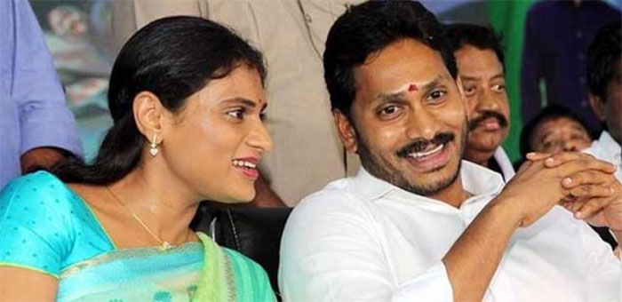 ys sharmila,lok sabha,kurnool mp seat,kotla surya prakash reddy,ys jagan,ysrcp  జ‘గన్‌’లోని బుల్లెట్‌ ఇదేనా...? 